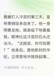 陛下,娘娘在冷宫开直播呢萧锦琰沈婉音_陛下,娘娘在冷宫开直播呢章节