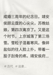 侯爷,夫人改嫁不等你