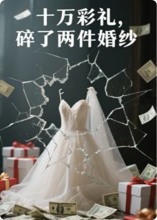《十万彩礼,碎了两件婚纱》芳芳建军王秀莲章节列表在线试读