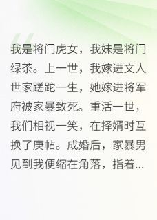 换了庚帖后，我成了大夏第一女将