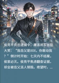 侯亮平抓将军,岳父急跳脚