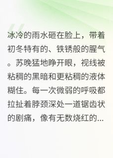 《我看见凶手在发光》免费阅读 苏晚赵红梅在线阅读