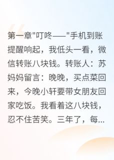 《婆婆给小叔子转八百万给我八块钱》小说章节目录在线试读 苏浩陆霆川晚晚小说全文