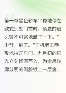 总裁少爷与JK女仆的契约婚约