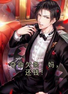 《夺命欠条:妈,还钱!》小说完结版免费阅读 林婉林辉小说全文