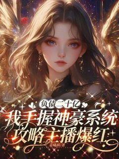 负债二十亿,我手握神豪系统攻略主播爆红