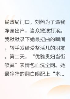 离婚后，她成了全网的表情包刘燕张涛小说在线阅读全文章节目录完整版
