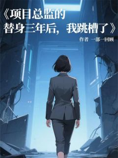 项目总监的替身三年后,我跳槽了
