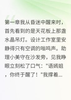 失忆后我忘了男模记起了你免费试读 韩时川宋景行林小雨是什么小说