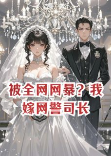 被全网网暴?我嫁网警司长苏晚晴陆沉舟全本在线阅读