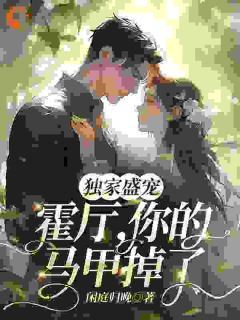 独家盛宠:霍厅,你的马甲掉了