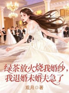 绿茶放火烧我婚纱,我退婚未婚夫急了