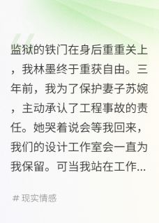 主角是苏婉陈霆林墨的小说 《我入狱三年她却怀了仇人的孩子》 全文精彩试读