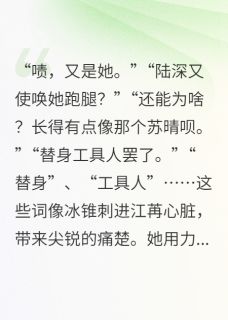 追光:校草的替身女友火葬场了