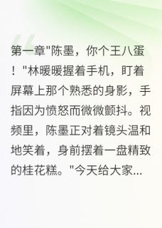 《他偷走了我的甜》林暖暖陈墨完结版免费阅读