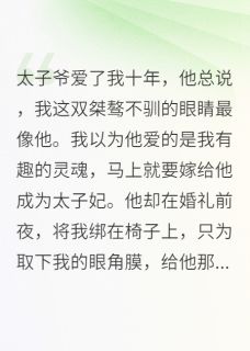 重生后我戳瞎双眼,太子爷悔疯了