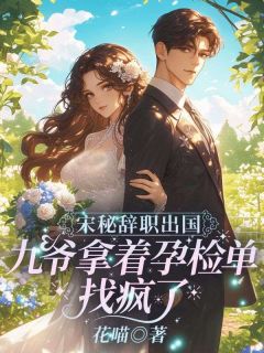 宋秘辞职出国,九爷拿着孕检单找疯了