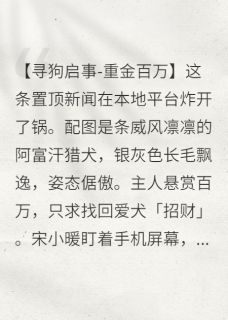 我只是替身宋小暖陆沉舟小说精彩内容在线阅读