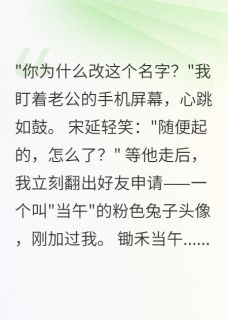 老公改名锄禾,我查出天价贪污案苏念宋延张雅婷全本在线阅读