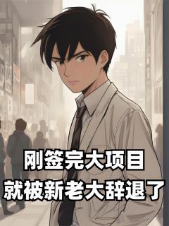 刚签完大项目,就被新老大辞退了