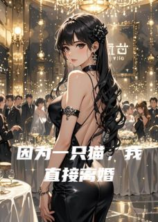 因为一只猫,我直接离婚