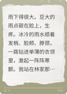 《被抛弃的“白眼狼”》周雅兰林娇林国栋小说在线阅读