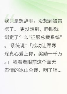 绑定征服系统后冷面总裁跪求复合