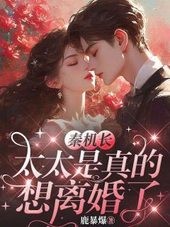 秦机长,太太是真的想离婚了