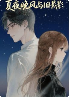 夏夜晚风与旧影