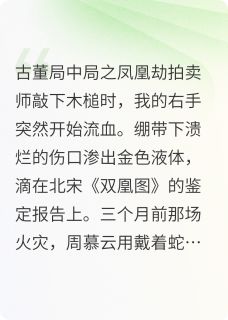 《古董局中局之凤凰劫》小说大结局在线阅读 苏瑾周慕云小说全文