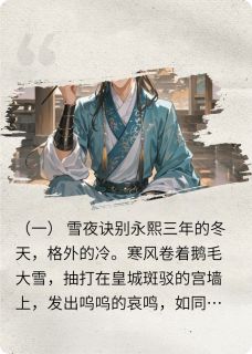换脸替嫁后,冷面侍卫他不认账了