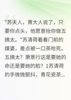 白月光守寡后他来纳妾了