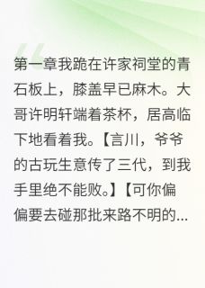 她嫁给我哥那天我破产了许明轩宋雅茹许言川小说结局完整全文