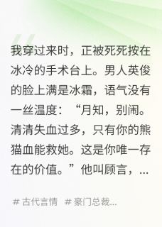 我月老,穿成虐文女主后乱牵红线