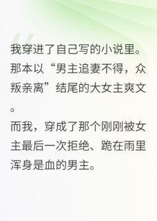 我穿进自己写的追妻火葬场里了