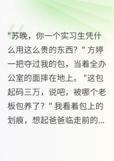《实习三月后,我摊牌了》小说章节目录精彩阅读 方婷苏晚小说全文