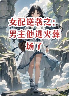 女配逆袭之:男主他进火葬场了