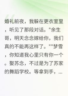 新婚夜听见丈夫的真心话