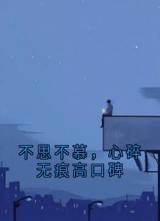 不思不慕,心碎无痕高口碑