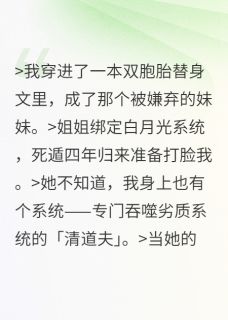 姐姐的系统想夺舍我