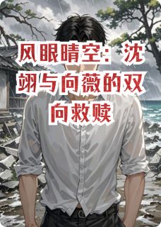 风眼晴空：沈翊与向薇的双向救赎