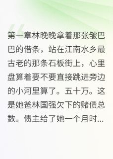 协议五年,他给我一个家江湛林晚晚小说全文章节目录免费试读