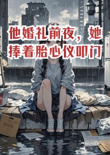 他婚礼前夜,她捧着胎心仪叩门