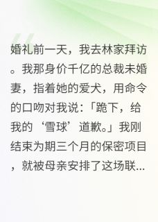 未婚妻让我给狗道歉,我直接退婚
