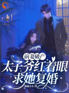 前妻破产,太子爷红着眼求她复婚