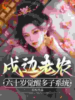 戍边老农:六十岁觉醒多子系统