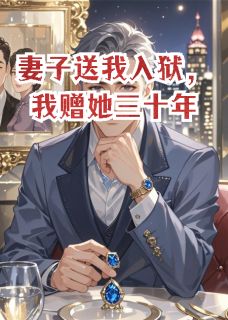 妻子送我入狱,我赠她三十年