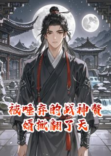 被唾弃的战神赘婿掀翻了天
