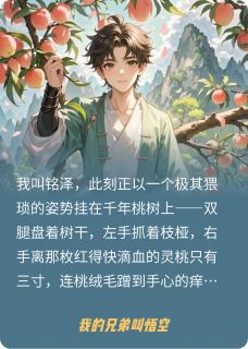 我的兄弟叫悟空