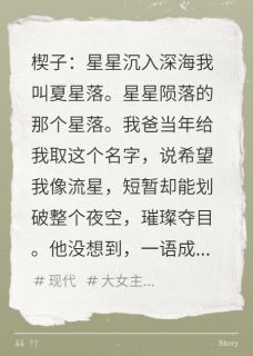 坠落星辰与他的月亮